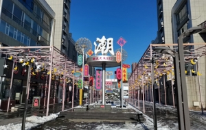 �S�ļ��֣��񶬵�һ��ѩ