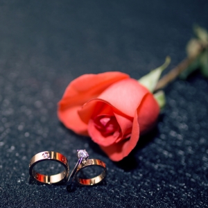 �Y��]�o�ʶY �����Դ˞��ɲ�����ҋ�����