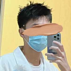 �¹��Y1.1W ���H������������̫��