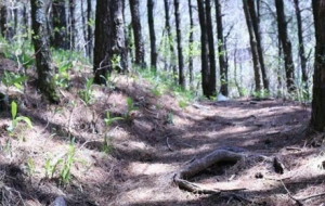 ȫ������ֻ��10�K�X���I����Ʊ߀��......