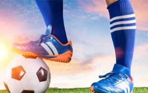 �@�����籭�����D��2-1�����T��