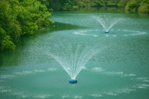 �����|��ĺ������˂���Ȫ��ɶ��r��