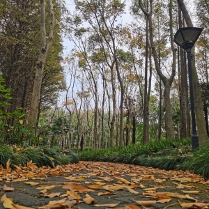 ��������֮ǰ ůů�ĳ���