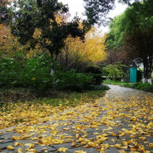 ̫������򹫈@��ɫ