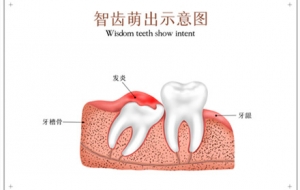 С���L���X�����￴���^��