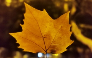 ��Ҋ�����S�Ľ��S��ʵė��~