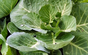 ��������ҷN�Ĳ����������