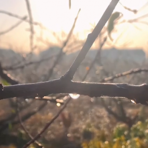 ������ӛ䛵�һ�γ�˪