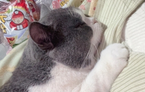 �ҵČ�ؐ�߁G��20���죡�ʂ�ŗ��ĕr�򣬾����ֻ؁���