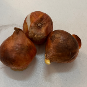 ���L���_�����ͽo�о���