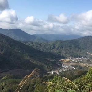 ��߅���{��7�� ��Դ��Xֵ��һȥ