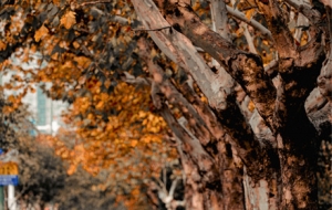 ���D���u �S�Ľ�ꎽ�߅���~����