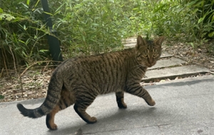 ���Վ��Z�c�����s~�X����һ�c�cС��ů