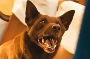 �@��ҕ�l�����Բ��������ԘO��