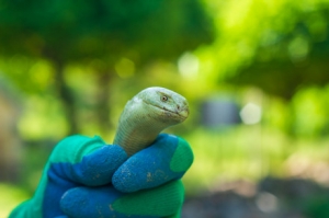 �F(xi��n)�����r(n��ng)���c�ߣ���Ę���J(r��n)��