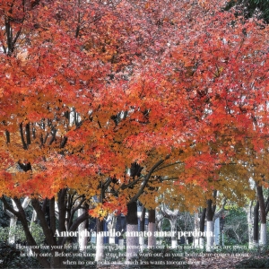 ƽ��С�´ٳɵ������ճ�