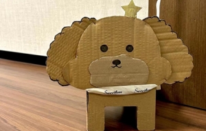 ��D���㣺�Ҽ��А�Ȯ�����