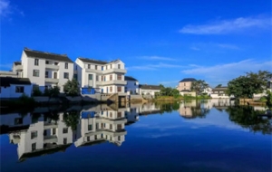 ����ʡ�������Ļ��z�a���t�����5�����x