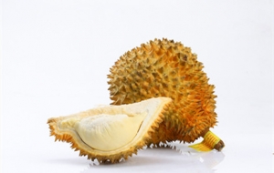 �p�ƶ�����߅�I�˂���ɏ���Y����...