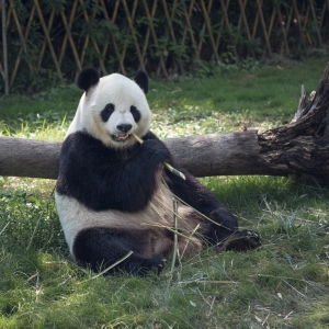 �x�������Ą���@�����