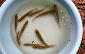 ����គ��~ ���������K�K����