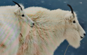 һ����o�������@���棬������