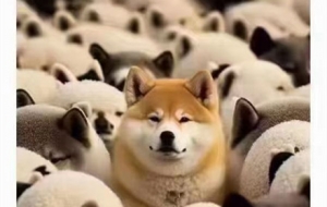 �ڶ������Դ��ˣ���(ji��n)�Q��ꎹ�