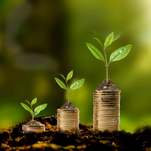 �����Ҳ������w��(hu��)�����m(x��)�������Ҫ�ԣ�