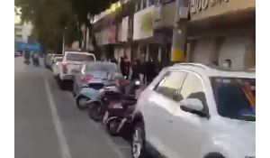 �Iˎ���y��ˎƷ�����㣬��Ҷ������