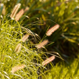 �����m���� �����sδ��