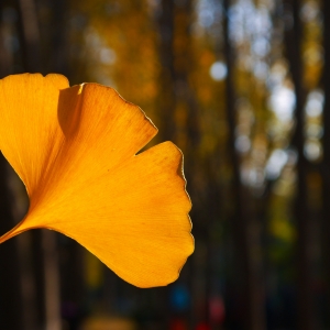 ��Ҋ����򿨣�ϲ�g�y��