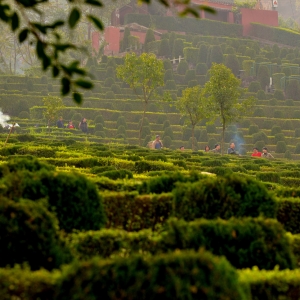 �F(xi��n)�ڽ�ꎵĚ��x�^�ǲ����˝M�黼��