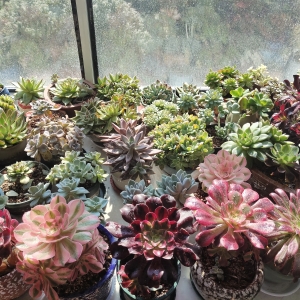 ����������ɫ�ˣ�Խ��(l��i)ԽƯ����