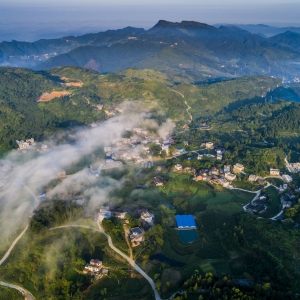 �ԏ��(y��ng)���Ժ����ѽ�(j��ng)���L(zh��ng)�dɽ��סһ��(g��)�Y����