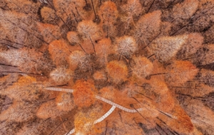 ���ģ������о� ����ɽ��