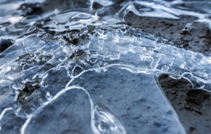 -11�棬�ڽ�����������^�@ô�����᣿