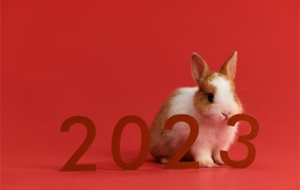 �c����384�죬�ɂ����������괺��Ҫ��7��7