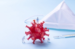 ������XBB�������y ���Л]���������~