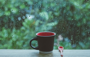 ������������������Ȥ��Ȥ�£����ʹ���v�v