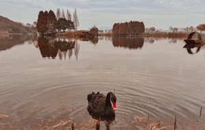 �힕r�� �ｗ���w