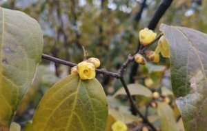 �~δ�M�������_��������D÷������ͬ