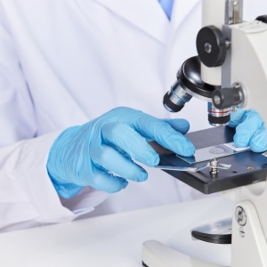 ����XBB1.5������ȡ�˂��ɐ����ֽ�С��ؐ���䌍һ�c���ɐ�