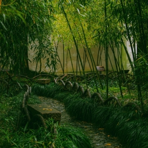 ������ (t��ng)��ɪԹ���t����ҹ�����r(sh��)