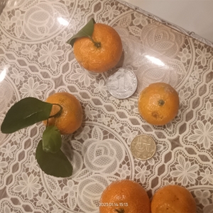 ʳƷ���Iˮ����һ��ȫ��С�����ͱ���һ�ӎׂ����