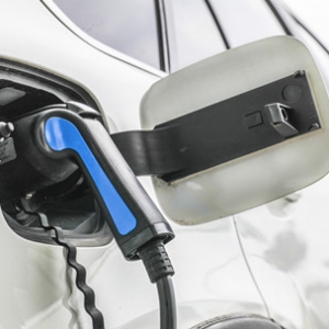 �ǲ���߀���x�x��˹����Ҫ��ε��߀���ð��f