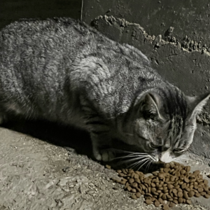 ���f�Ժ��ד�ȥ�ɣ�һ�鲻�I�I����