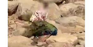 �°l�o�a����@��