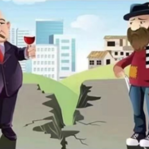 ����Ђ�(g��)���r���f�������͸F�ˡ����� �f�^�]��