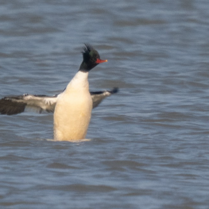 �@�N����һ�����o����״άF�������