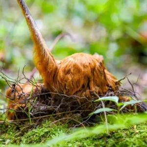 ��ُ؜�u ����ë���������������